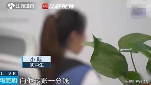 吃瓜群被骗视频在线观看,在线观看背后的真相与警示