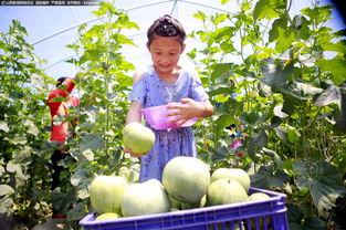 柳州生态吃瓜最新事件视频,一场引发热议的环保行动