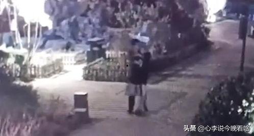 滨江世贸吃瓜事件视频,一场引发热议的网络围观事件